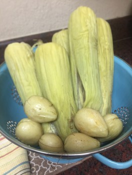 55832041633__4E3F67AB-E126-49DE-8D78-5BF3E0BD01FC