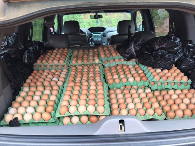 101692292_10158115028075803_7296716851092914176_n